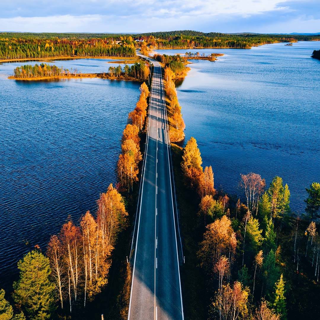 road-bridge-nature-autumn-1x1-1080px