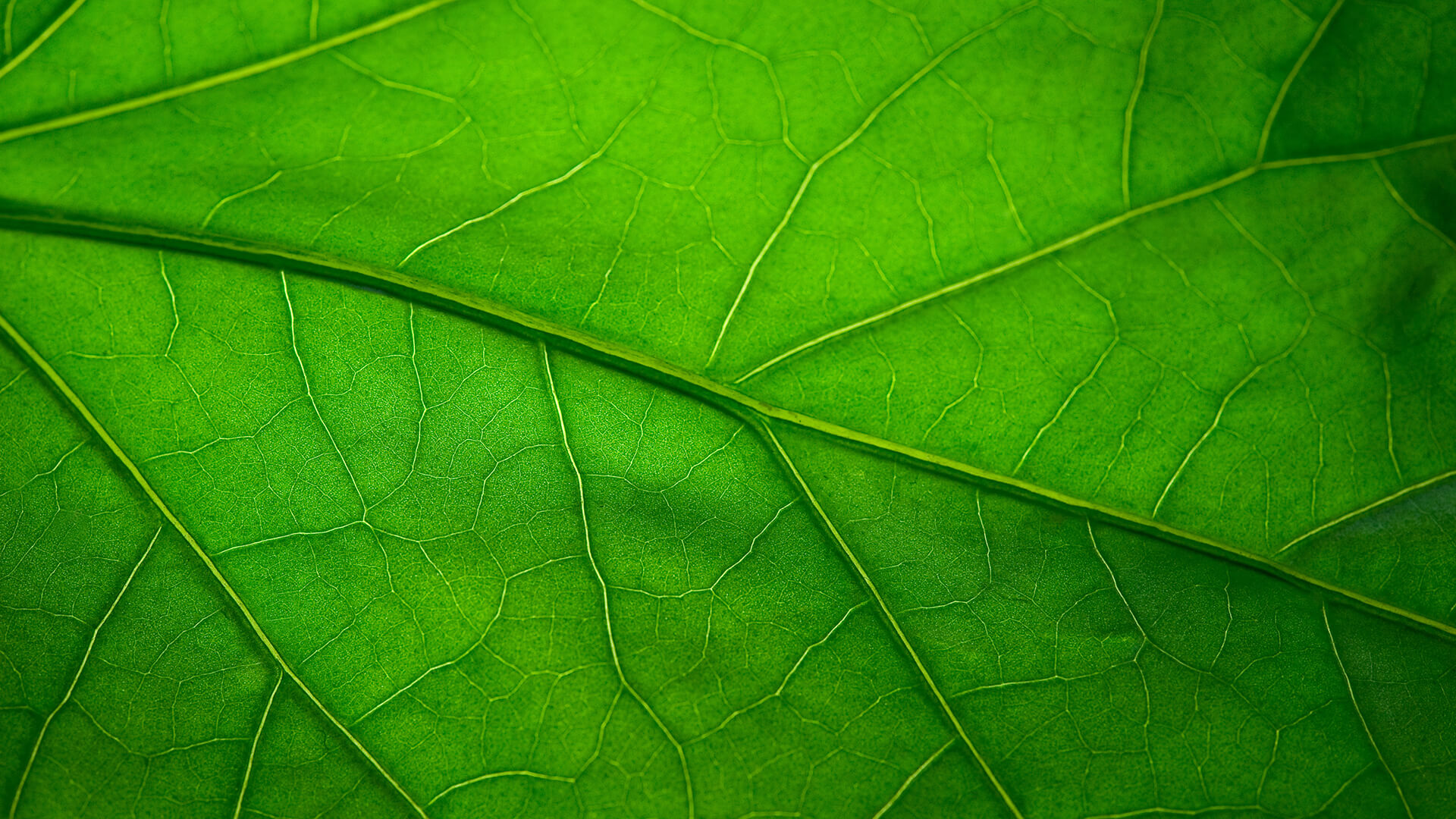 green-portfolio-chemicals