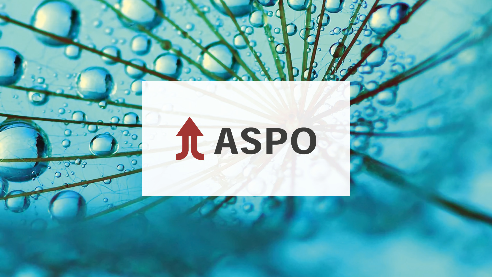 Aspo_03