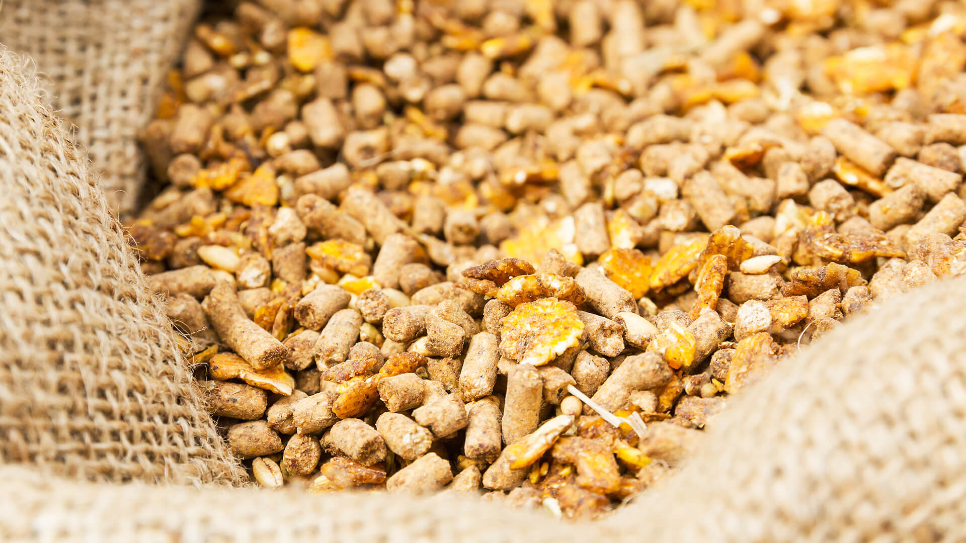 Chemicals for feed, such as animal feed supplements, vitamins